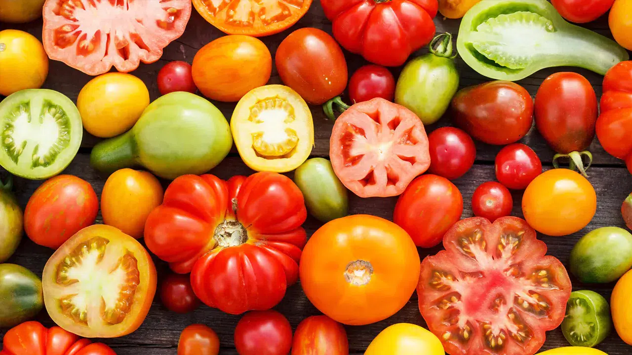 TasteAtlas’tan Küresel Liste: Ankara’nın Ayaş Domatesi Dünyanın En İyileri Arasında