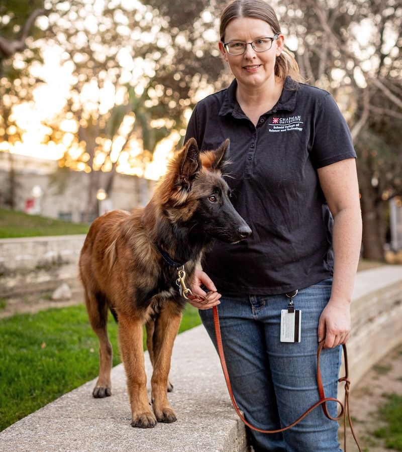 Bilim insanları açıkladı: Köpekler sanıldığı gibi belirli işler için “tasarlanmadı.”