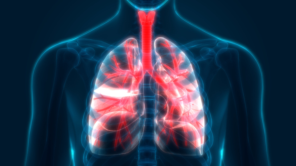 Açık Havada “Görünmez Tehlike”: Pasif İçicilik