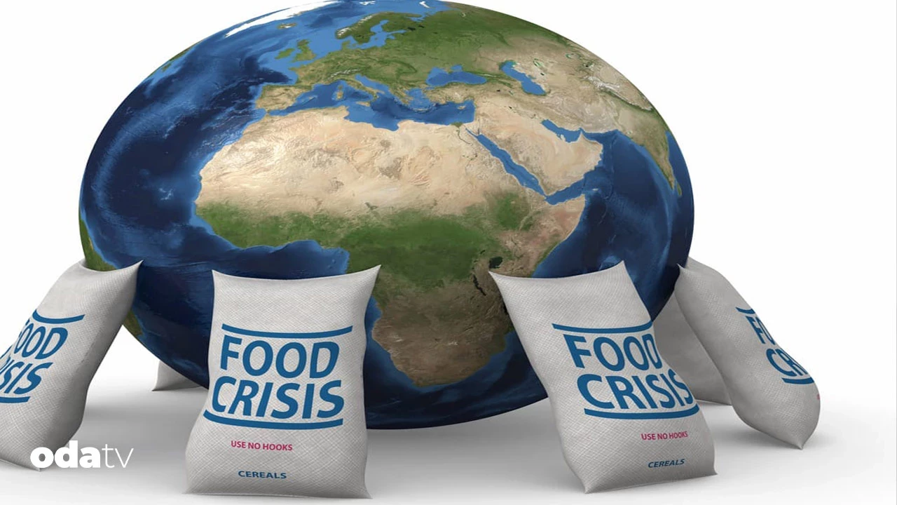 Gıda Arzında Operasyonel Verimlilik ve Stratejik Yeniden Yapılanma