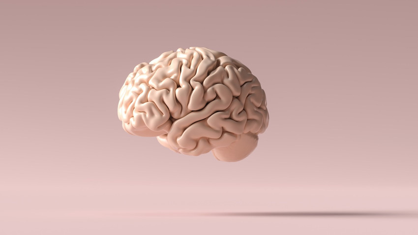 Travmalara bilimsel “silgi”: Hollandalı araştırmacılar korkuyu beyinden geçici olarak sildi!