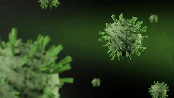 Menenjit tartışmasına yanıt: “Salgın söz konusu değil”