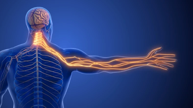 Gece Uyanmanıza Neden Olan Uyuşmalar Alarm Veriyor