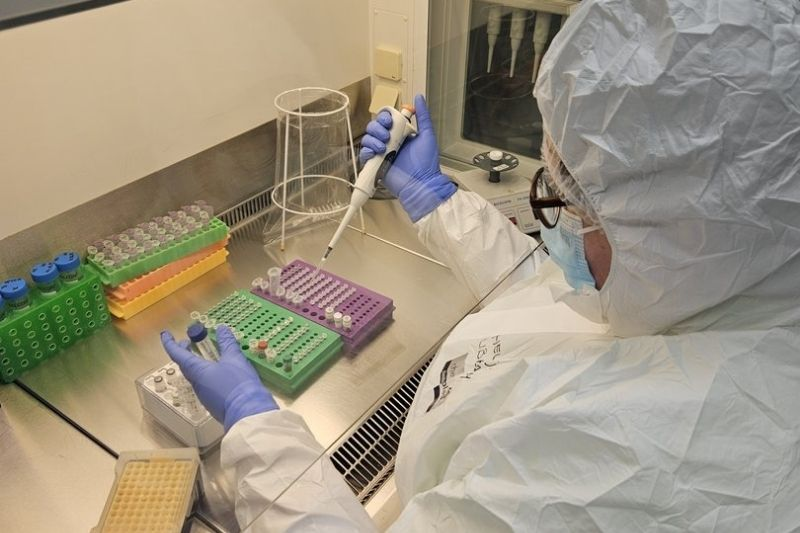 2.500 Yıllık Kalıntılarda Herpes Virüsü: Antik DNA’dan Çarpıcı Keşif