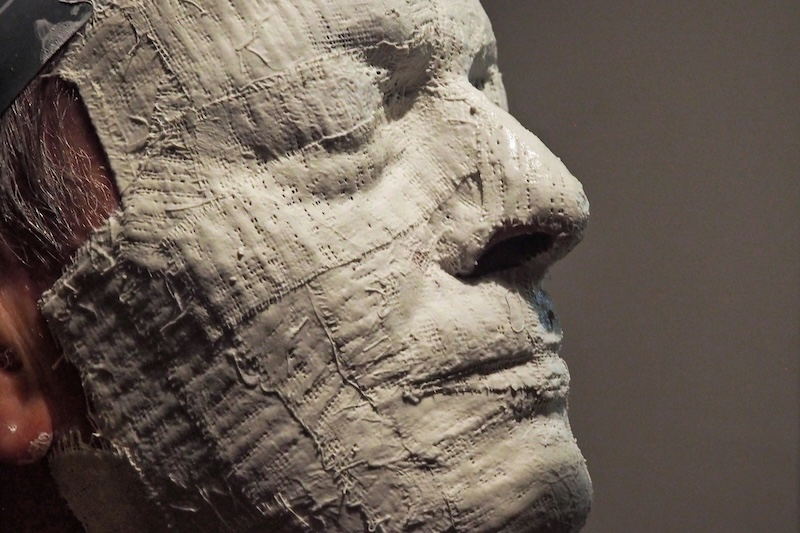 Primatlara Nazaran Daha Çeşitli