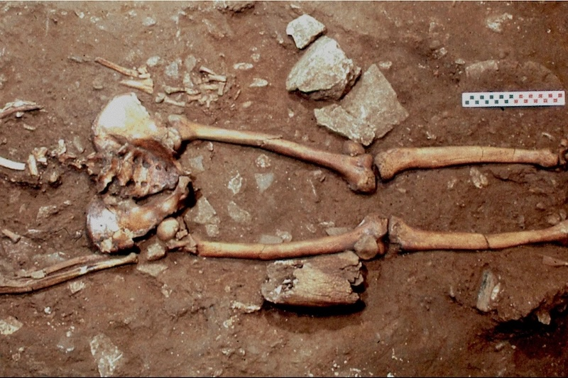 Bu Adam Pusuya mı Düşürüldü?