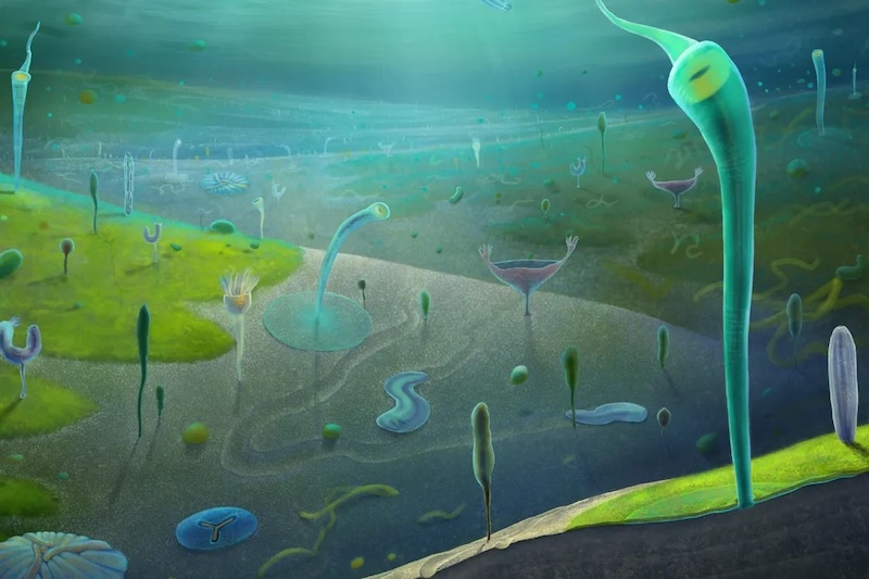 Evrim Tarihi Yeniden Yazılıyor: Erken Karmaşık Yaşam Kanıtı