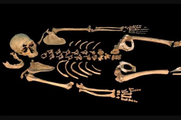 40 bin yıl önce Fransa’da bir Neandertal’in Bilinçli Şekilde Gömüldüğü Düşünülüyor