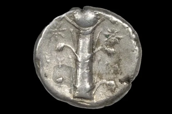 Antik Roma’nın efsanevi bitkisi: Doğum kontrolü için kullanılan silphium gizemi