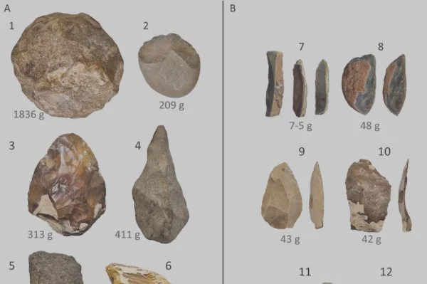 Büyük avlar azalınca insanlar aletlerini değiştirdi