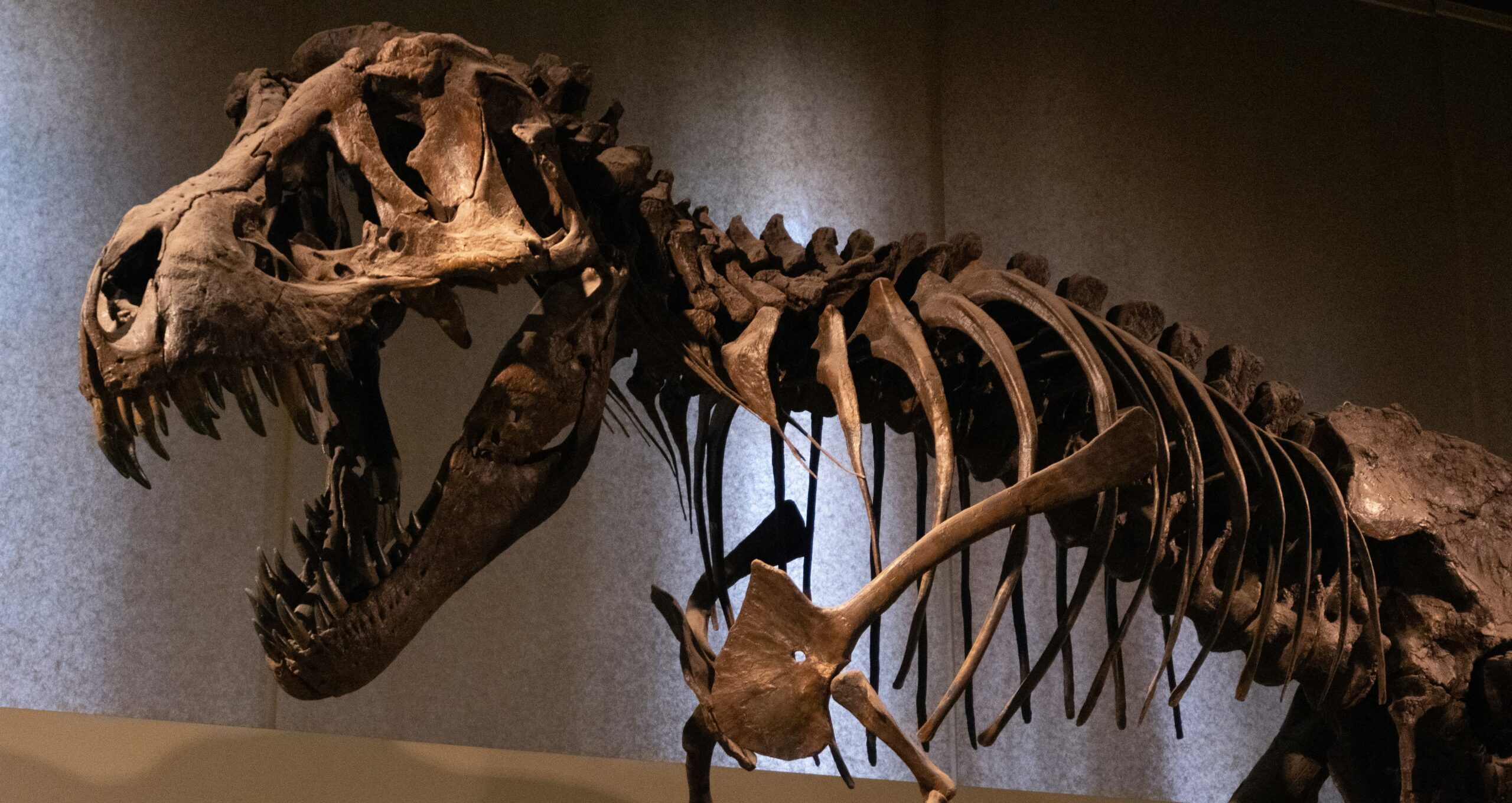 Evrimsel Geçmiş: T-REX