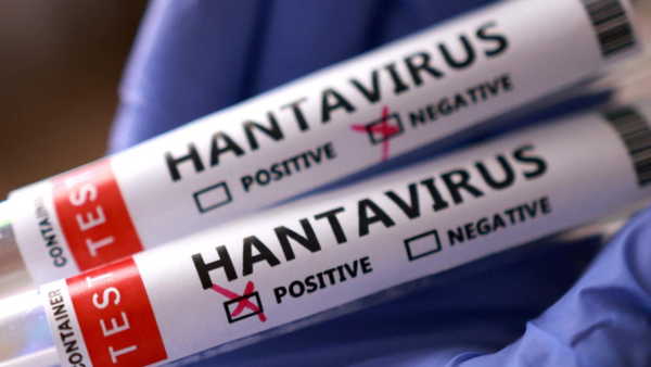 Gemilerde Karantina, Kırsalda Büyük Risk: Hantavirüs Tehdidi Kapımızda mı?
