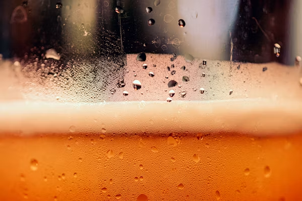 Çin’de 2.300 Yıllık “Bira” Bulundu: Bronz Şişedeki Gizemli İçki Araştırılıyor